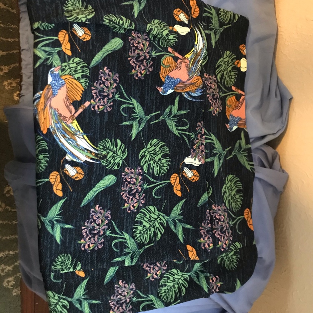 Lularoe skirt